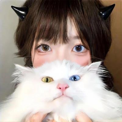 独眼查理